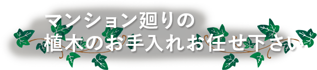 マンション廻りの植木のお手入れお任せ下さい
