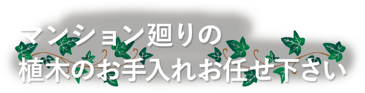 マンション廻りの植木のお手入れお任せ下さい