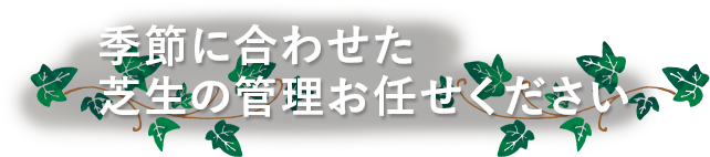 季節に合わせた芝生の管理お任せください