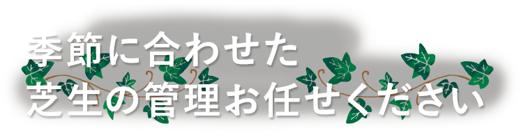 季節に合わせた芝生の管理お任せください